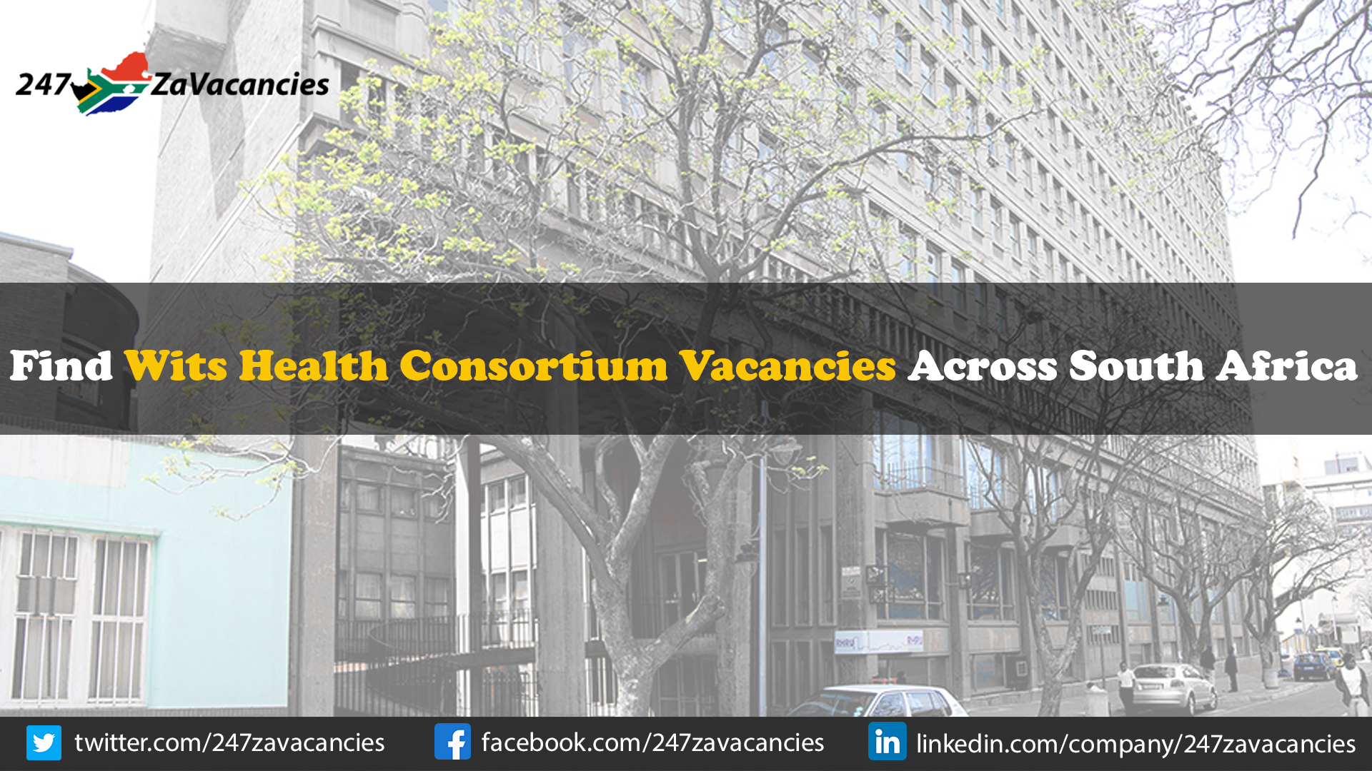 Wits Health Consortium Vacancies