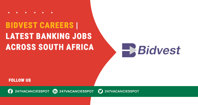 Bidvest Careers: From Entry-Level to Specialized Industry Roles